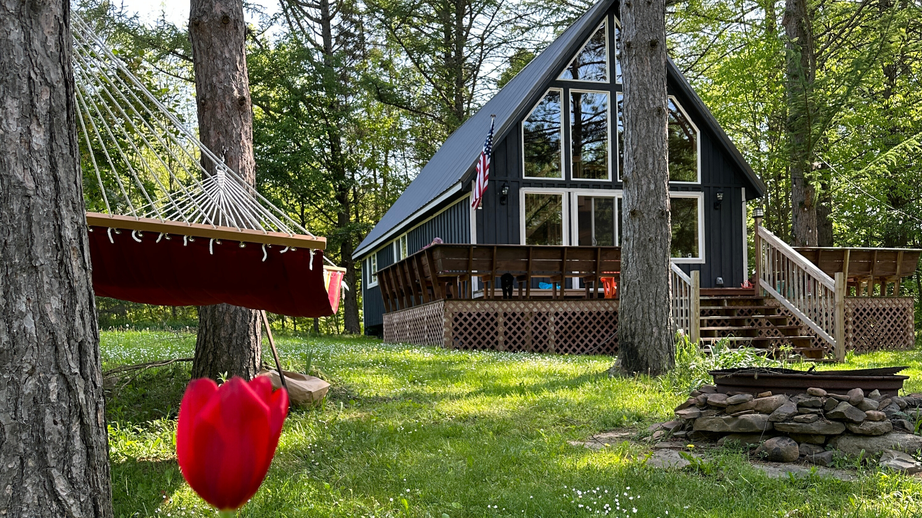 Our Amish-built cabin in the woods of Western NY is our peaceful escape. With six acres, a pond, and trails for Inky and Callie, it’s where we slow down, reconnect with nature, and enjoy the simple life—just enough to feel free, grounded, and grateful.
